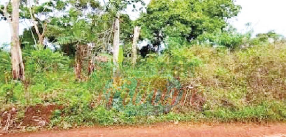 Sécurisation: Des titres fonciers remis à Bwadibo
