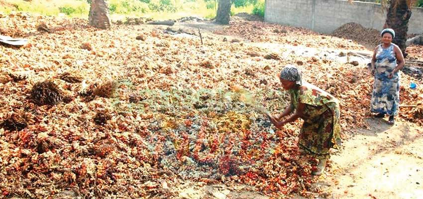 Planting Season : Famers Advised to Wait Planting Season : Famers Advised to Wait