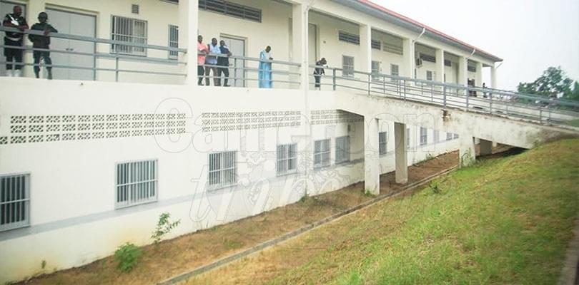 Douala Vocational Training Centre: Fruit of New Vision Technical Education