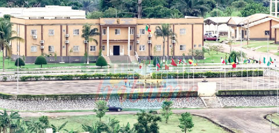 Coopération militaire intra-africaine: Le pari gagnant du Cameroun