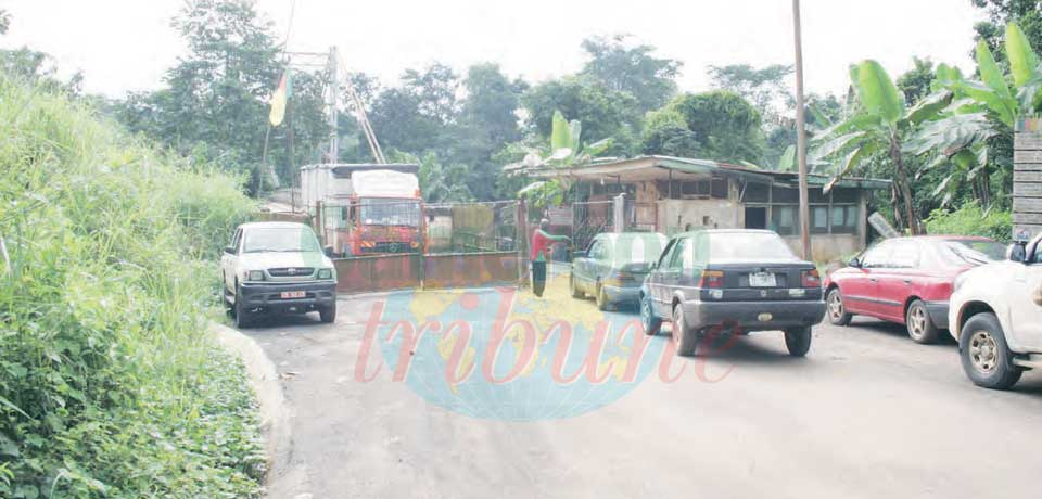 Cameroon-Equatorial Guinea : Border Security Agreements Exist