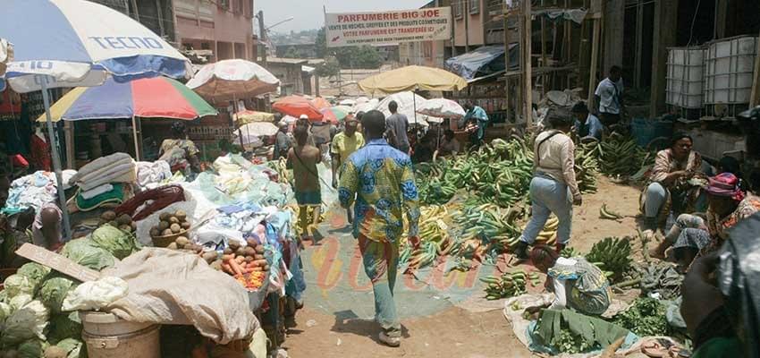 Situation monétaire du Cameroun: Les signaux sont bons