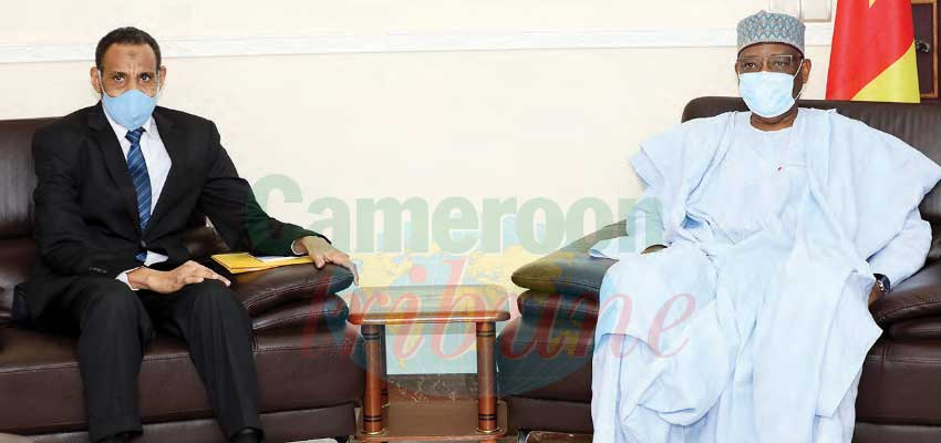 Cameroon-Chad Relations : Mixed Commission Recommendations Revisited Cameroon-Chad Relations : Mixed Commission Recommendations Revisited