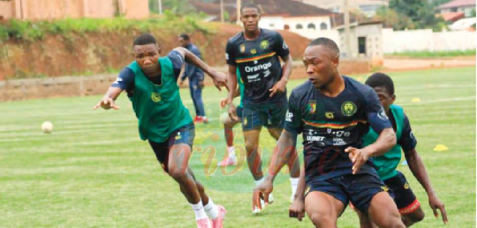 CAN U23: Les Lionceaux en stage