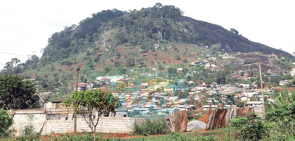 Yaoundé : menace sur les collines Yaoundé : menace sur les collines