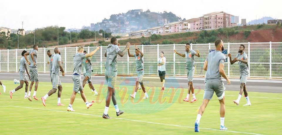 Cameroon-Malawi : Lions Confront The Flames Today