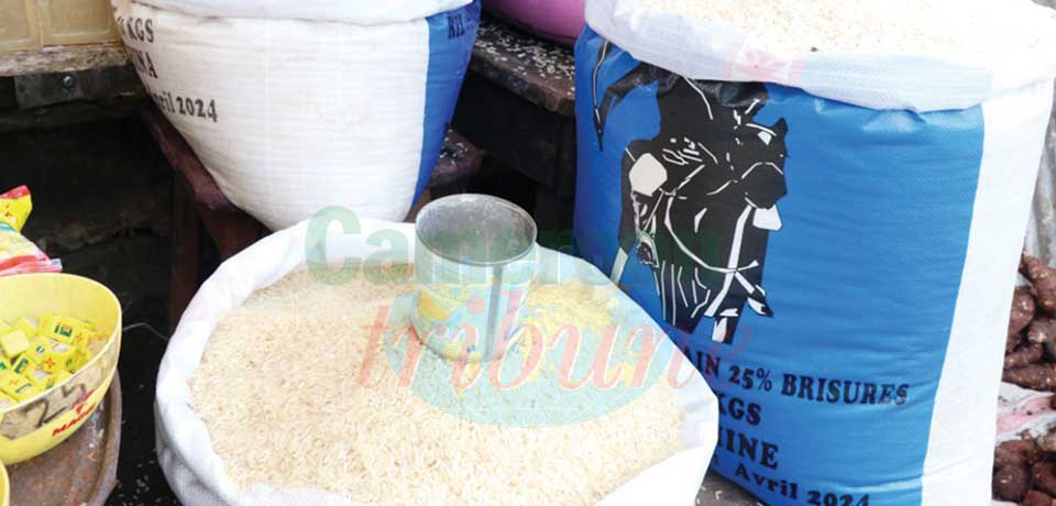 Marché du riz : incompréhension autour des prix Marché du riz : incompréhension autour des prix