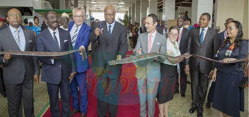 Conseil international des archives: Yaoundé, capitale de la 8e édition