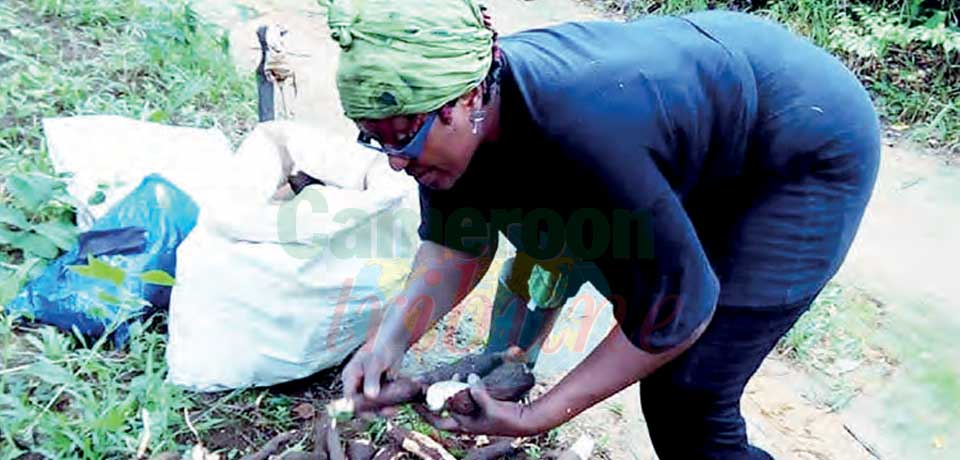 Digital Age : Rural Women Have Less Access To ICTs Digital Age : Rural Women Have Less Access To ICTs