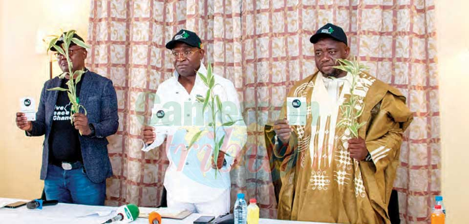 Promotion de la non-violence: Une campagne de sensibilisation lancée