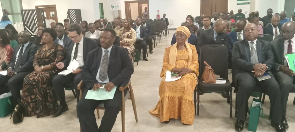 Regeneration Takes Roots : Cameroon Unveils Bold Shift In Green Economy