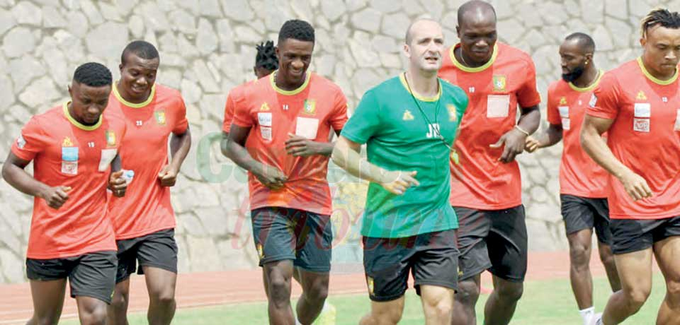 Muscle Relaxation For Lions