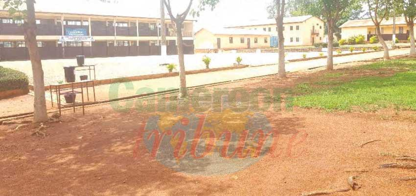 Ngaoundéré : des stratégies pour une bonne rentrée scolaire Ngaoundéré : des stratégies pour une bonne rentrée scolaire