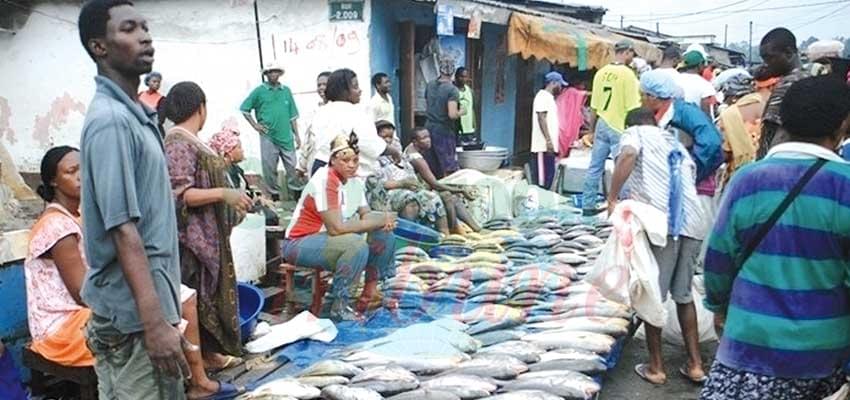 Cameroon - Japan: Economic Cooperation On Upward Trend Cameroon - Japan: Economic Cooperation On Upward Trend
