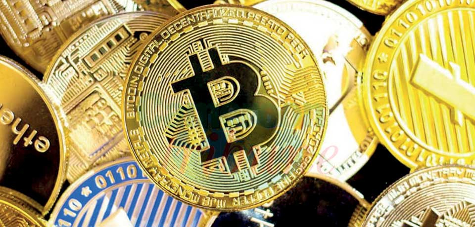 Crypto-monnaie, système de Ponzi : il est urgent de contrôler