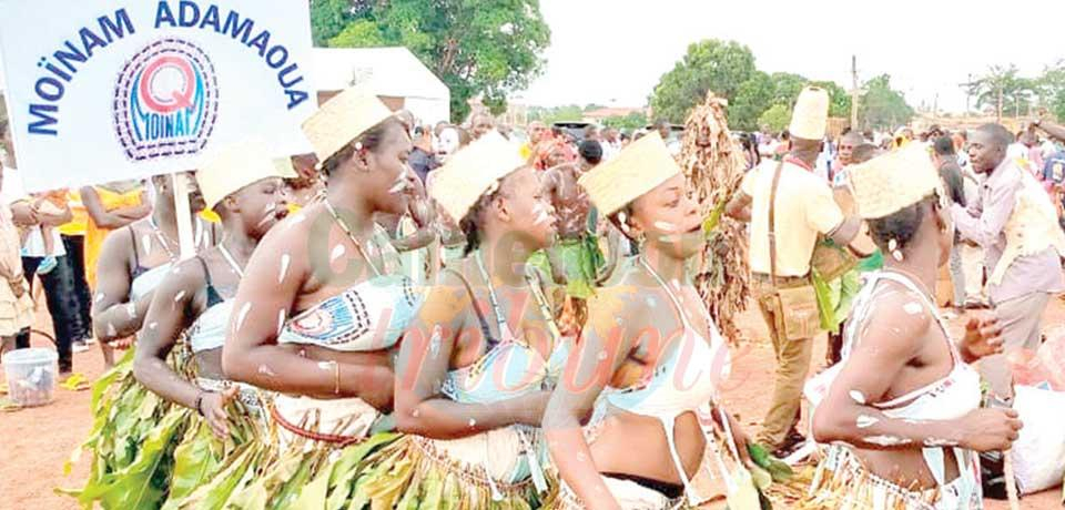 Patrimoine : la culture Gbaya en vitrine