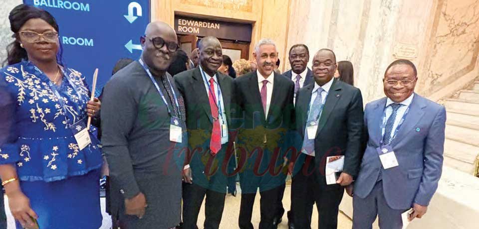 Energy Compact: Cameroon Presents Offers In New York