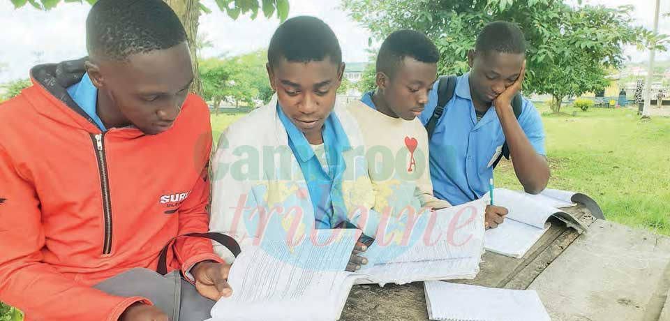 Quest For GCE Success : Candidates Employ Diverse Studying Methods