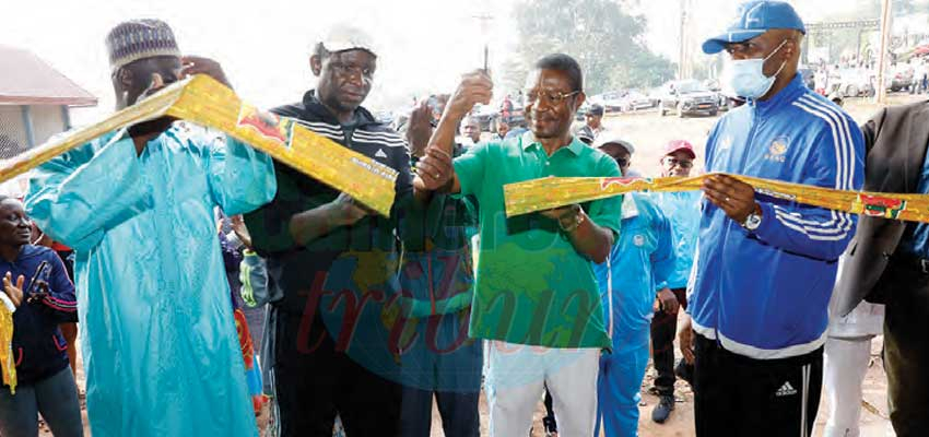 Commerce de fruits : Yaoundé à un nouveau marché