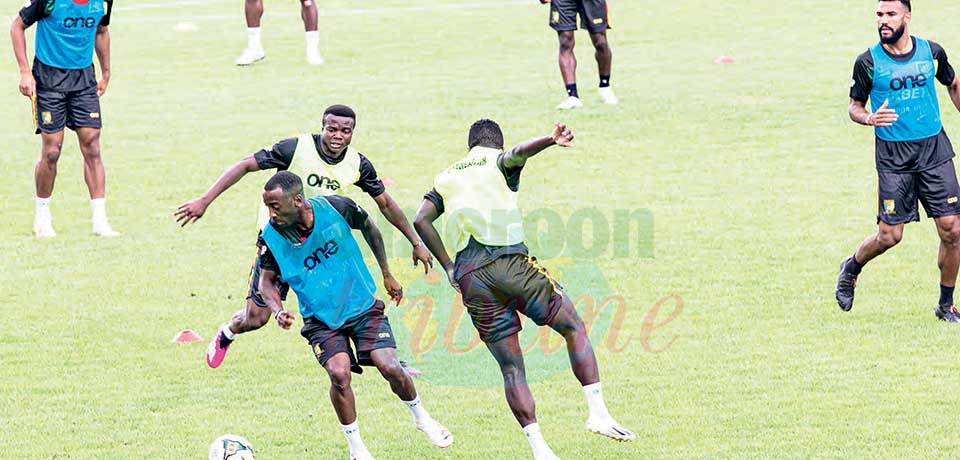 Cameroon Friendlies : What Shape For Lions?