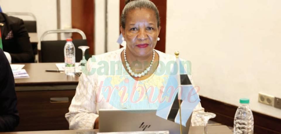 Fight Against Corruption: Learning From Botswana’s Success Story