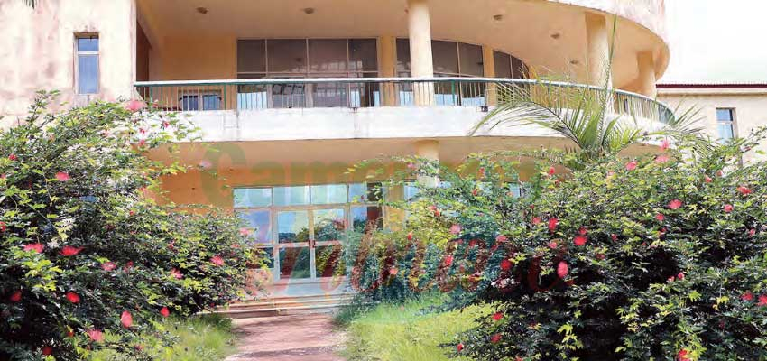 CAF Excellence Centre : Rehabilitation Absolutely Needed CAF Excellence Centre : Rehabilitation Absolutely Needed