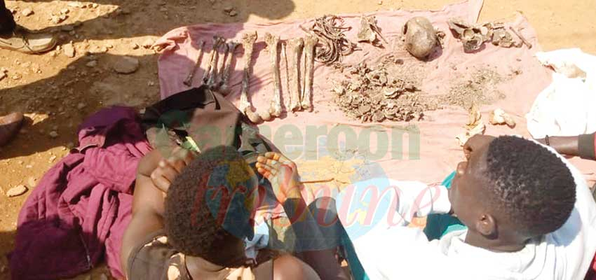Meiganga : six trafiquants d’ossements aux arrêts Meiganga : six trafiquants d’ossements aux arrêts