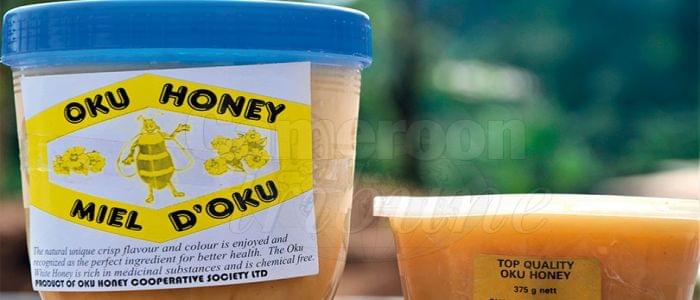 Oku White Honey : Production Records Drastic Drop
