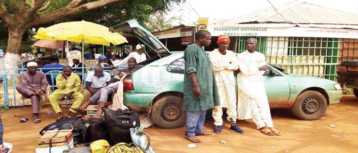 La chasse aux « taxis-brousse » dans l’Adamaoua