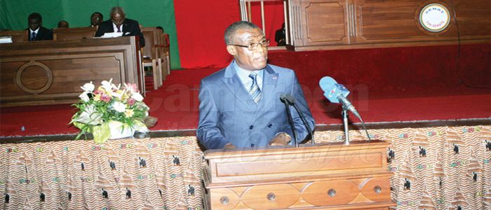 Dja Forest Reserve:Minister Rejects Deforestation Allegations Dja Forest Reserve:Minister Rejects Deforestation Allegations