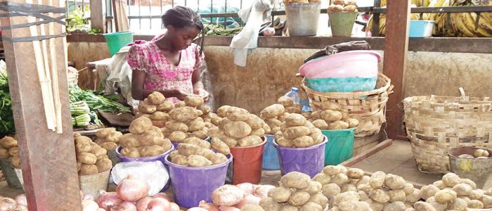 Pomme de terre: les prix en baisse