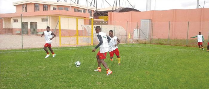 CHAN 2018: Intermediate Lions Begin Preparations CHAN 2018: Intermediate Lions Begin Preparations