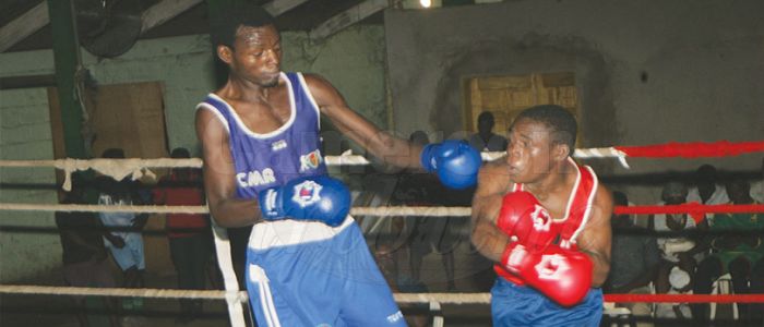 Boxing: Federation Celebrates Medals Boxing: Federation Celebrates Medals
