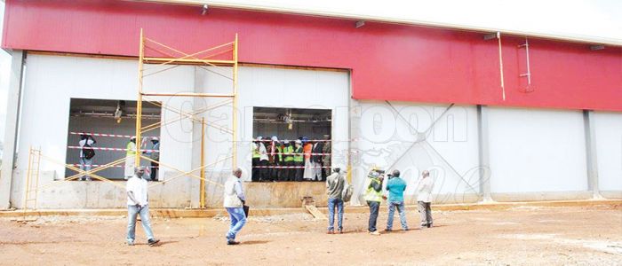 Abattoir  industriel de Ngaoundéré : prêt à l’emploi