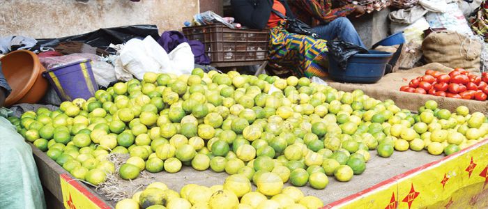 Le citron moins cher