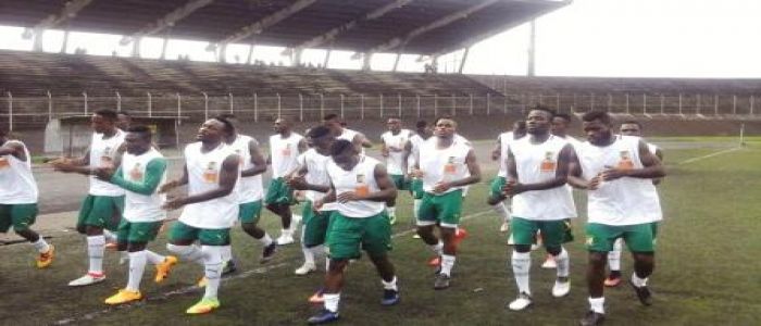 CHAN 2018: Intermediate Lions Intensify Preparations