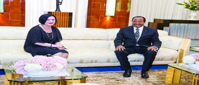 Cameroun-Italie: la vitesse de croisière Cameroun-Italie: la vitesse de croisière