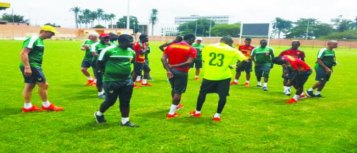 Éliminatoires Mondial 2018: les Lions au vert à Yaoundé