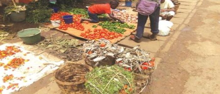 Tomate: les prix flambent