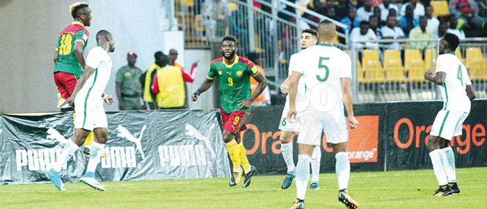 Lions indomptables: une équipe toujours en chantier Lions indomptables: une équipe toujours en chantier