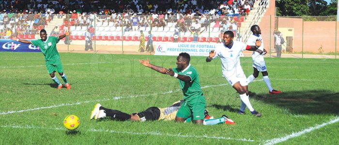 Eding Sport: le novice devenu grand