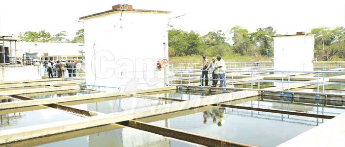 Akomnyada: Helping Yaounde Curb Water Shortage 