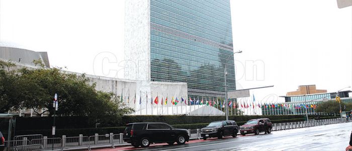 UN Systems Reforms:Peace, Security Focus Attention UN Systems Reforms:Peace, Security Focus Attention
