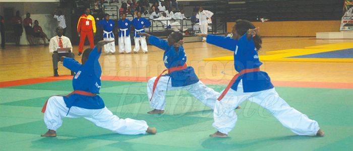 Nanbudo et sambo: on attend les champions Nanbudo et sambo: on attend les champions