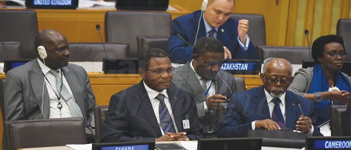 Protection de l’environnement: le Cameroun soutient le « pacte mondial »