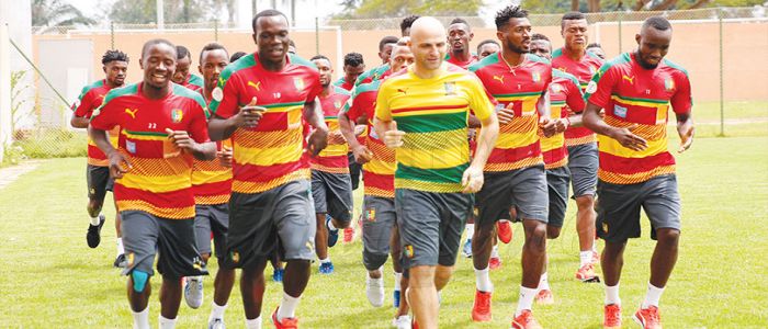 Lions indomptables: en quête de sérénité Lions indomptables: en quête de sérénité