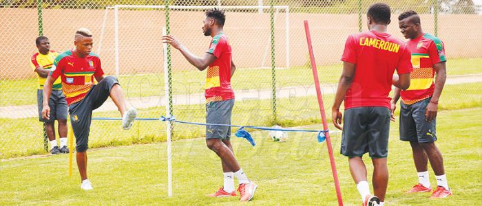 2018 World Cup Qualifiers: Indomitable Lions Sharpen Claws 2018 World Cup Qualifiers: Indomitable Lions Sharpen Claws