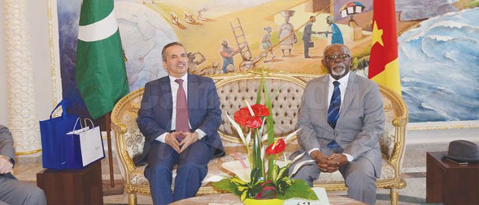 Cameroon-Saudi Arabia: Discussions to Strengthen Relations at MINREX
