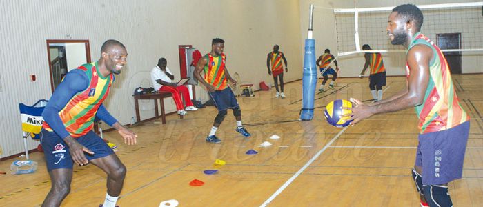 Championnat d’Afrique de volley-ball : Au tour des messieurs