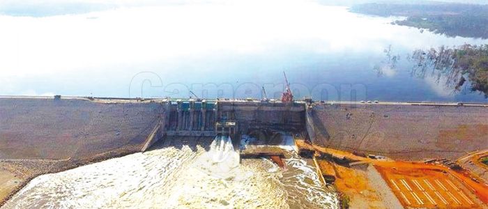 19th CPC Party Congress: Xi Jinping To Consolidate African Relations 19th CPC Party Congress: Xi Jinping To Consolidate African Relations